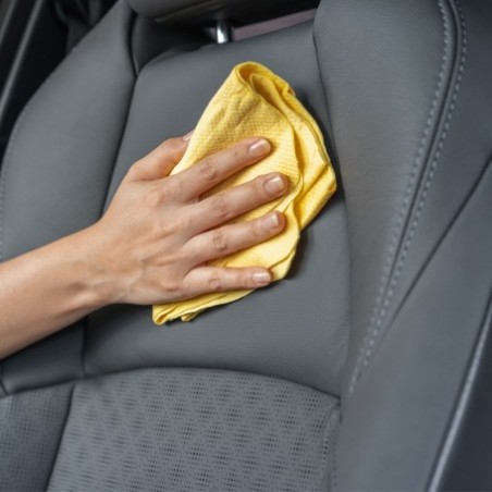 LIMPIADOR INTERIOR 25L N4